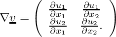 \[ \nabla \underline{v} = \left(\begin{array}{cc} \frac{\partial u_1}{\partial x_1} & \frac{\partial u_1}{\partial x_2} \\ \frac{\partial u_2}{\partial x_1} & \frac{\partial u_2}{\partial x_2} . \end{array}\right) \]
